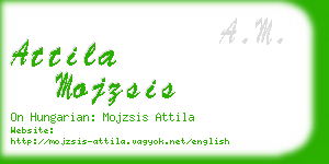 attila mojzsis business card